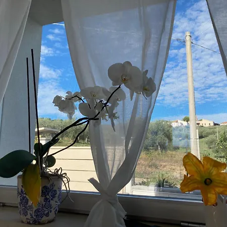 Slowcasa - Garden & Pool Chalé Torrevecchia Teatina