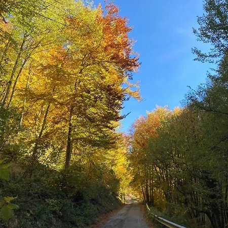 Slowcasa - Garden & Pool