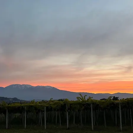 Chalé Slowcasa - Garden & Pool