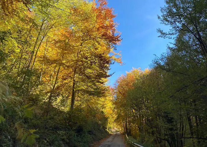 Slowcasa - Garden & Pool